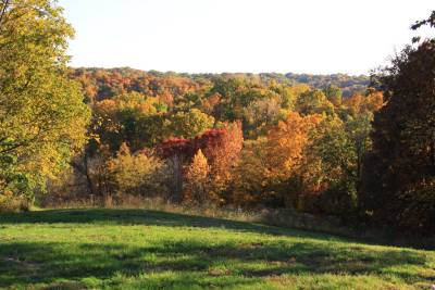 Fall Foliage from Favorite Point